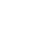 Globe icon